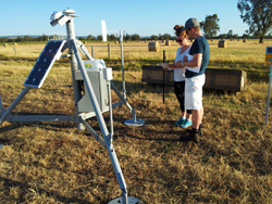 Byford Solar Farm, Western Australia, Australia