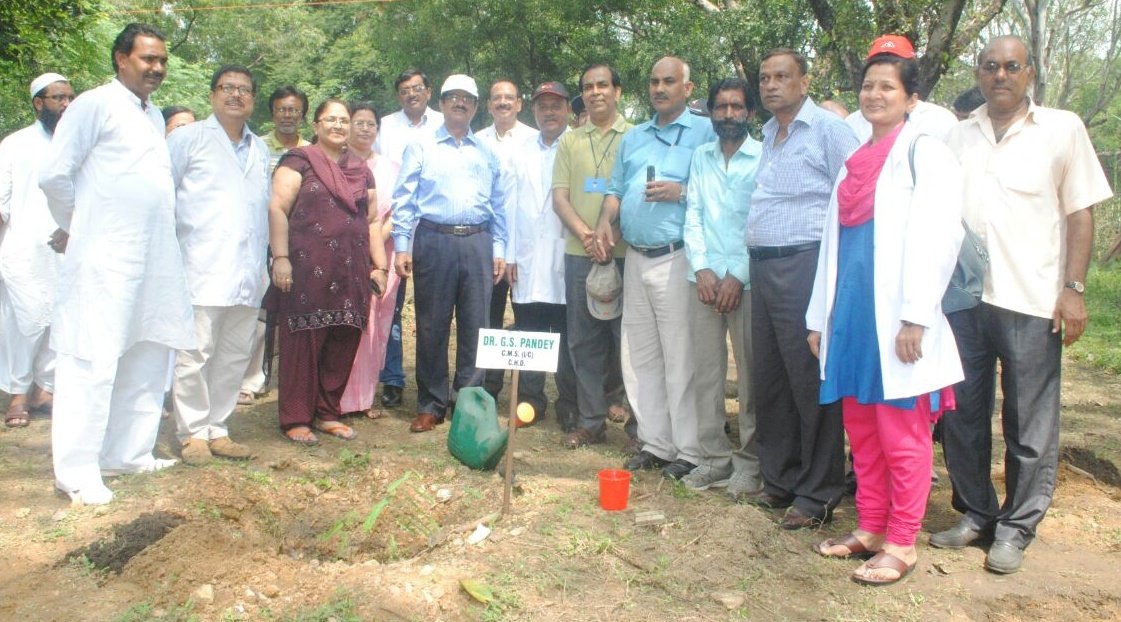 tree saplings planted by BCCL's Medical fraternity in the hospital premises on 28-Sep-2016.
