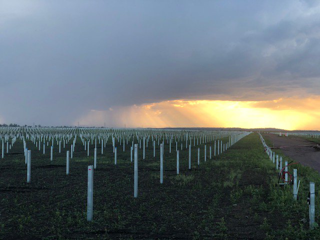 Whitsunday Solar Farm, Queensland, Australia