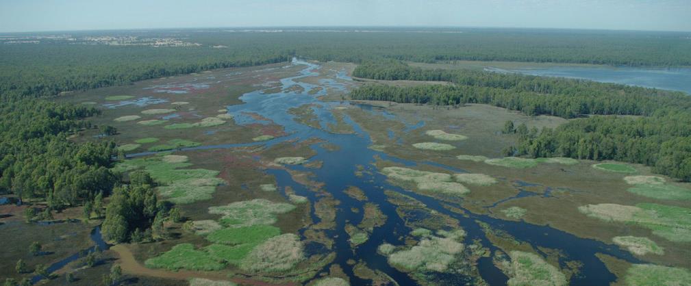 The annual run-off from nine of Victoria’s highest water yielding parks (16% of the state total). This is particularly significant for the economies of eastern Victoria (from the Alpine and Lake Eildon national parks), western Victoria (from the Grampians National Park) and Greater Melbourne (from the Yarra Ranges andBaw Baw national parks).