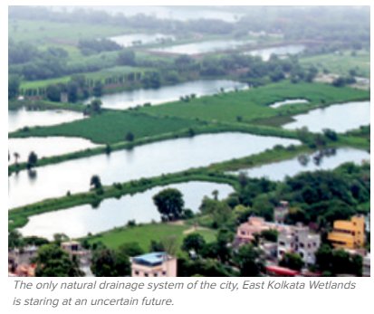 SAFE-IWMI study: Kolkata's flood resilience at risk if East Kolkata Wetlands are not conserved and protected