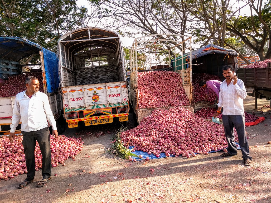 Agri Price Watch: Wholesale prices of onions in Lasalgaon, Nashik, Maharashtra