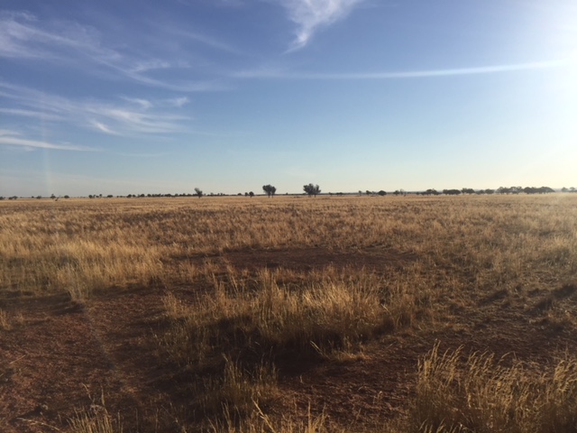 Solar River Project, South Australia, Australia