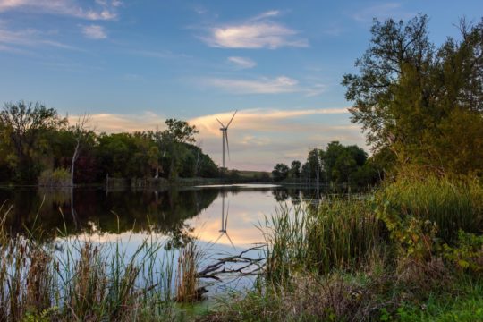 Renewable Energy Target: Microsoft