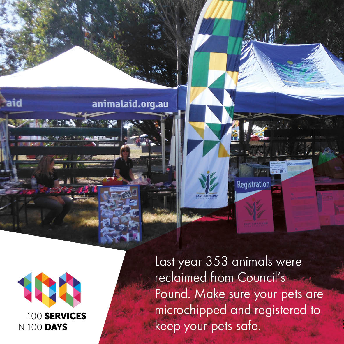 animals were reclaimed from the council's pound last year.