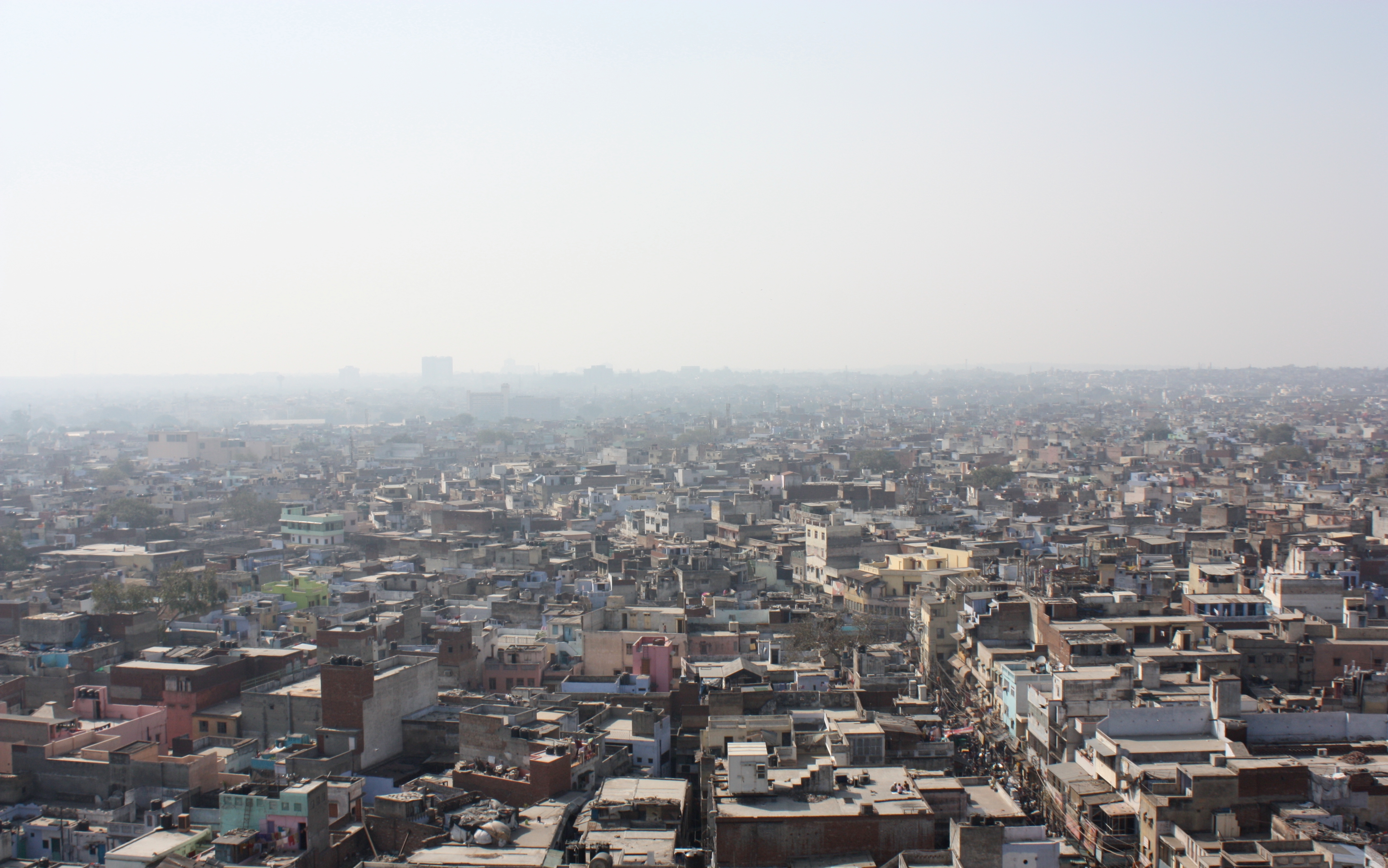 Estimated population of Delhi in 2014