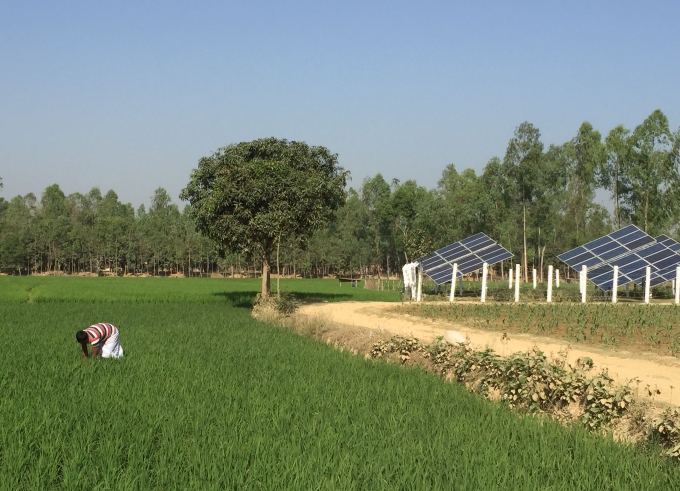 Installation of solar irrigation pumps in Bangladesh