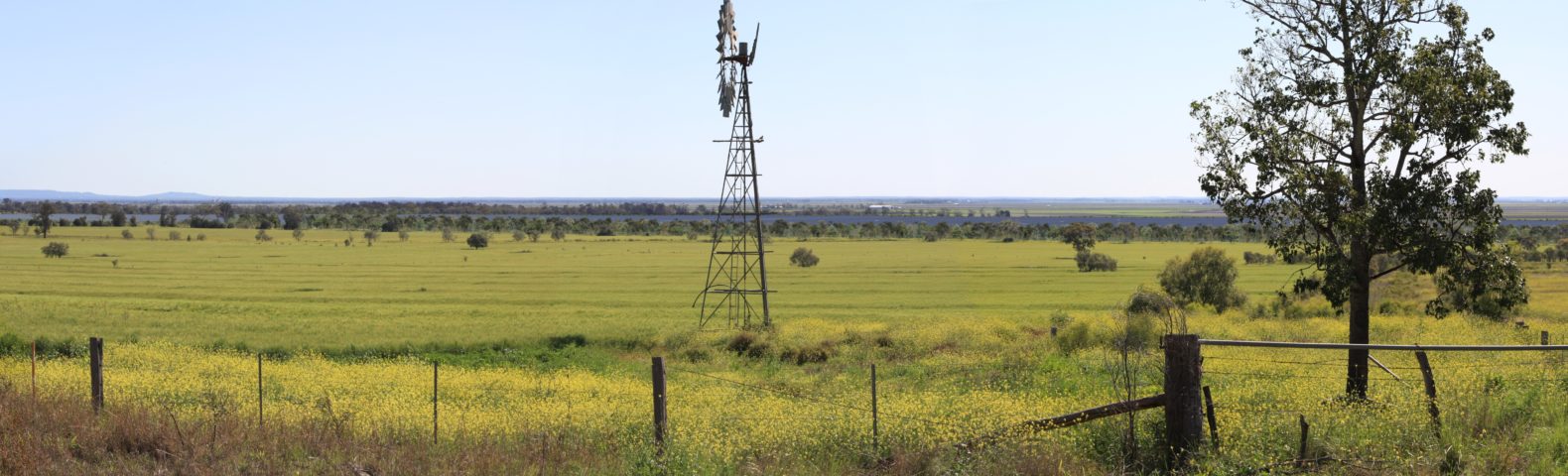 of sparsely vegetated farmland will be used. The project will connect to the power grid using the existing Ergon Energy infrastructure, located adjacent to the development site. This will allow transmission of power into Toowoomba via the Middle Ridge Bulk Supply Substation.