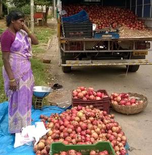 Pomegranates from Bengaluru find attractive export markets
