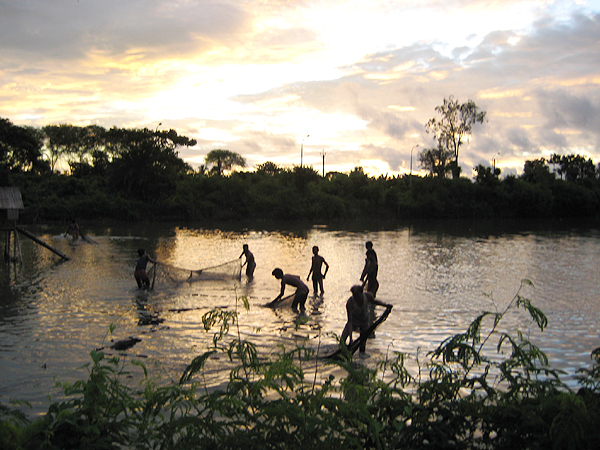 Welcome to the world's largest organic sewage management system
