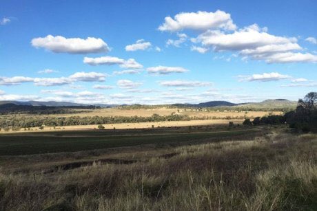 hectares of land will be used for the wind farm. The site will be located on 12 farming properties near Cooranga North between Dalby and Kingaroy on land which is predominately used for cattle grazing and other farming activities.