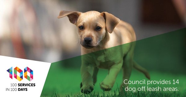 Dog off leash areas are provided by the council.