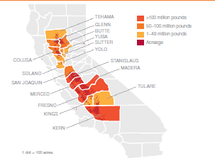 Land in California dedicated to growing almonds
