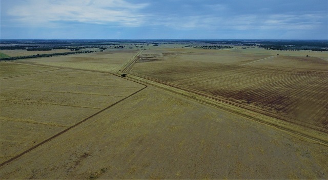 Coleambally Solar Farm, New South Wales, Australia