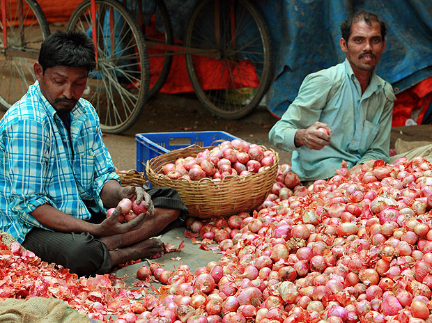 Agri Price Watch: Wholesale prices of onions in Neemuch, Madhya Pradesh