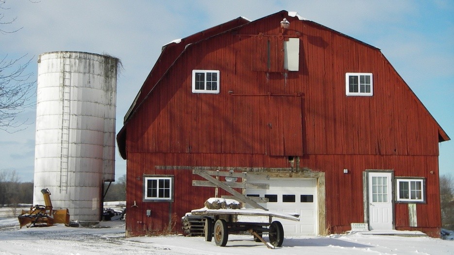 U.S. farm bankruptcies in 2019