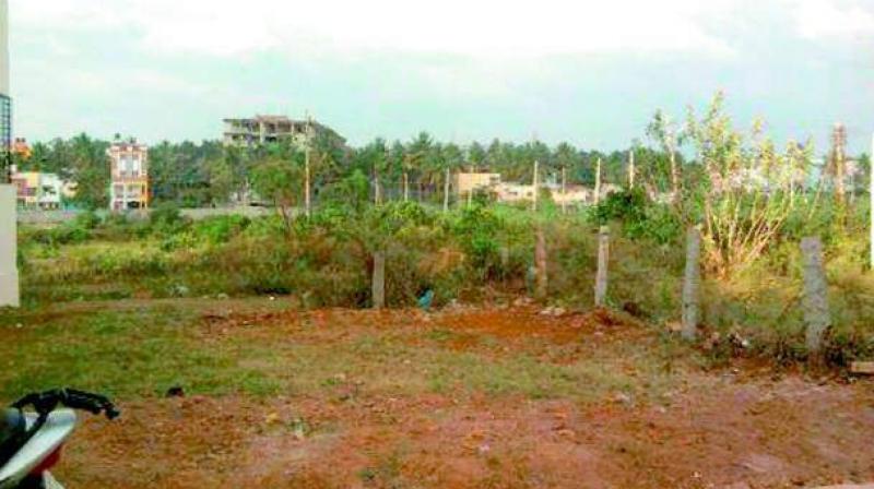 Water Watch: Groundwater levels in Nellore district of Andhra Pradesh, India