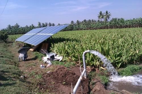 KUSUM Scheme: Initiative for use of solar energy in India's agriculture sector