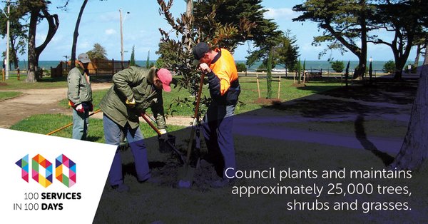 Approximate number of trees and shrubs that the councils plants every year.