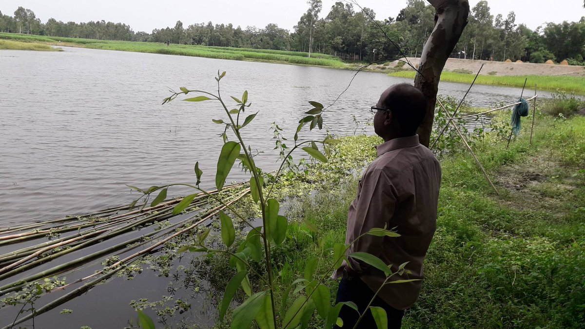River Jalchhira, Kurigram, Bangladesh. 'Jalchhira' means net-tearer. This small river used to connect Jinjiram and Brahmaputra and flowed so furiously that it could tear fishing nets up. A highway across it in 80's had made the river a mere lowland.