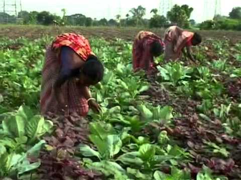 Health monitor (summary of key health parameters - work in progress).