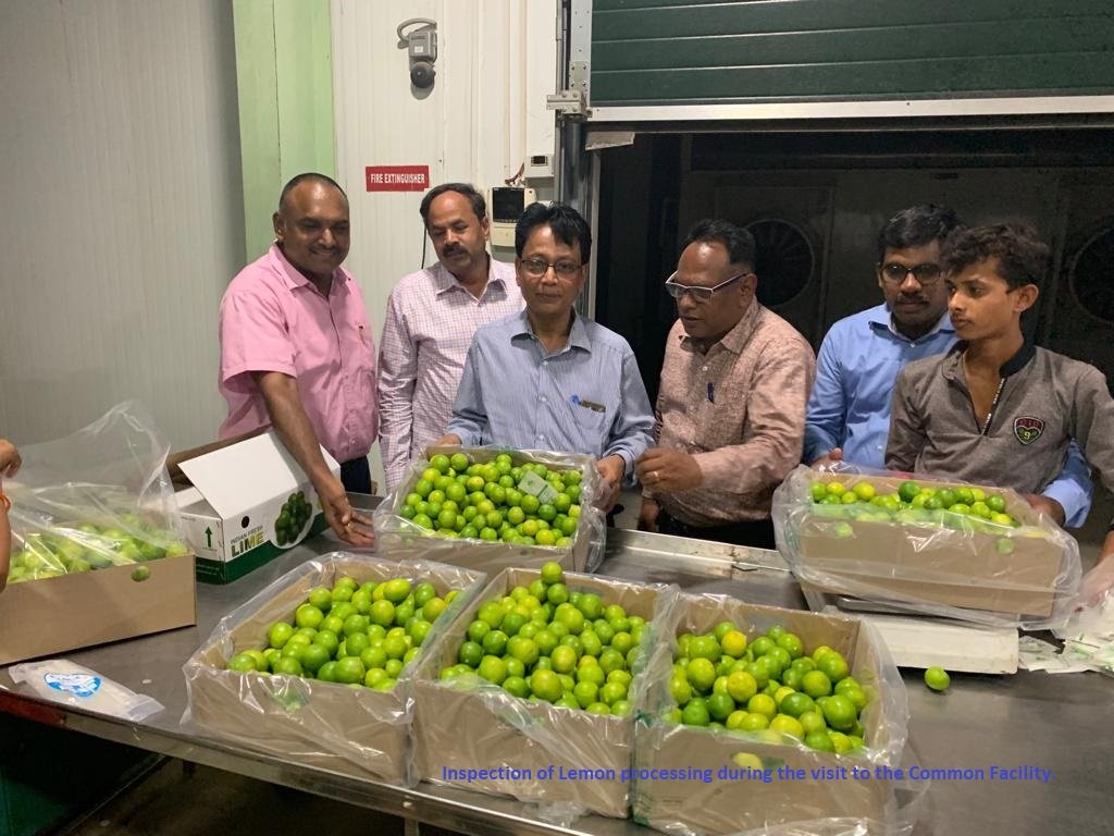 Fruit and Vegetable exports from India through APEDA assisted packhouses