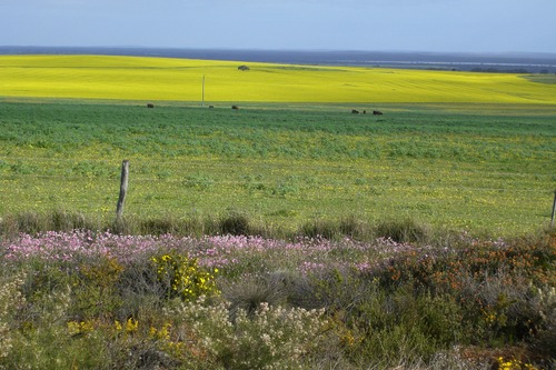 Yandin Wind Farm, Western Australia, Australia