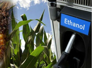 India's progress in meeting its target for blending of fuel grade ethanol with petrol