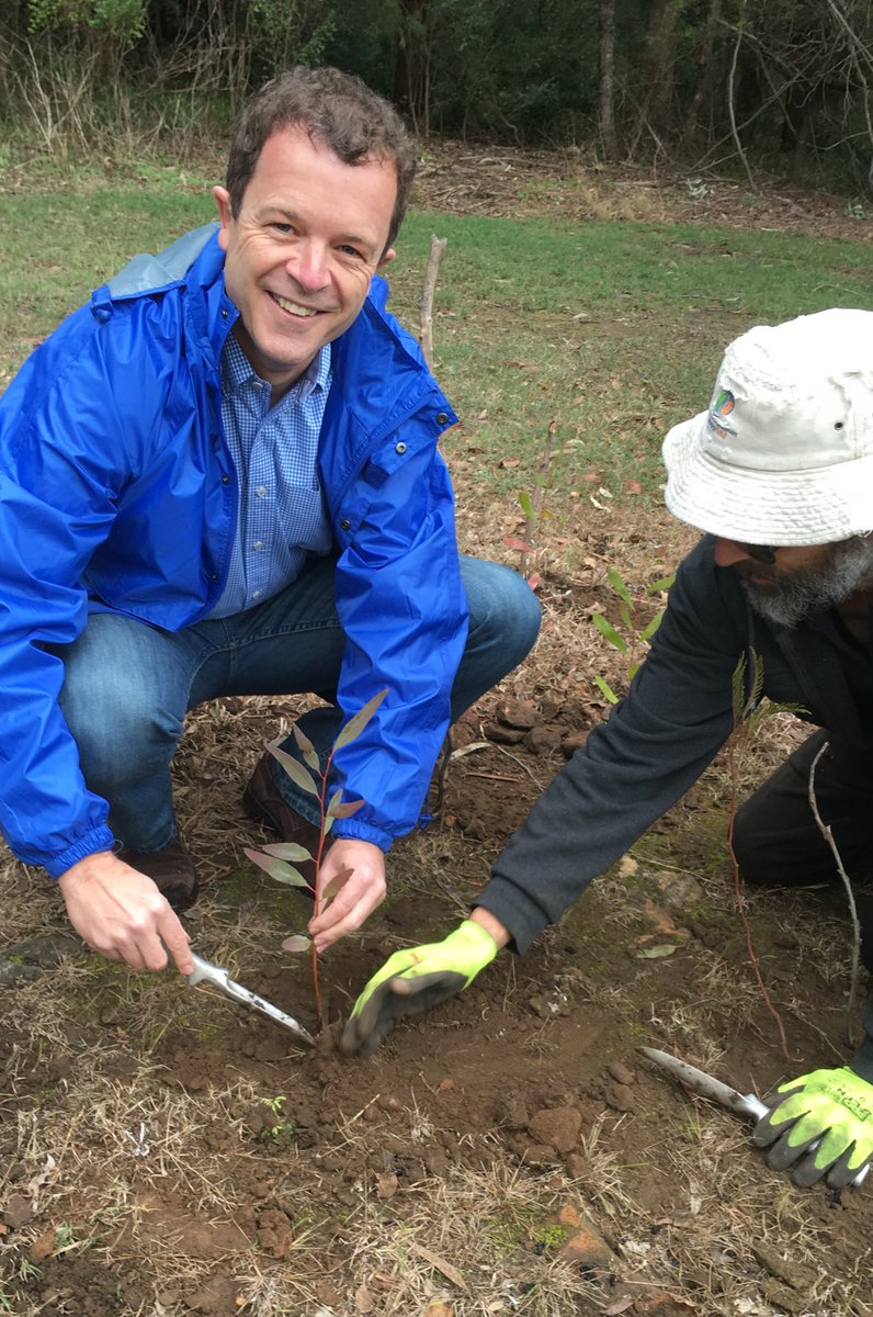 trees were planted at Lugarno on #NationalTreeDay.