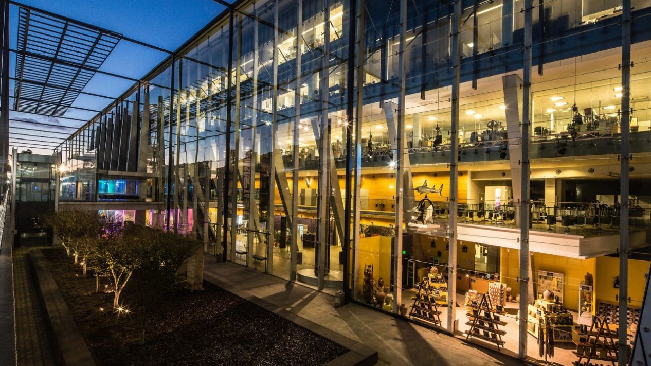 Museums Victoria's energy efficiency and solar initiatives