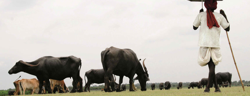 India: Top 10 milk producing states [2017-18] ('000 tonnes)