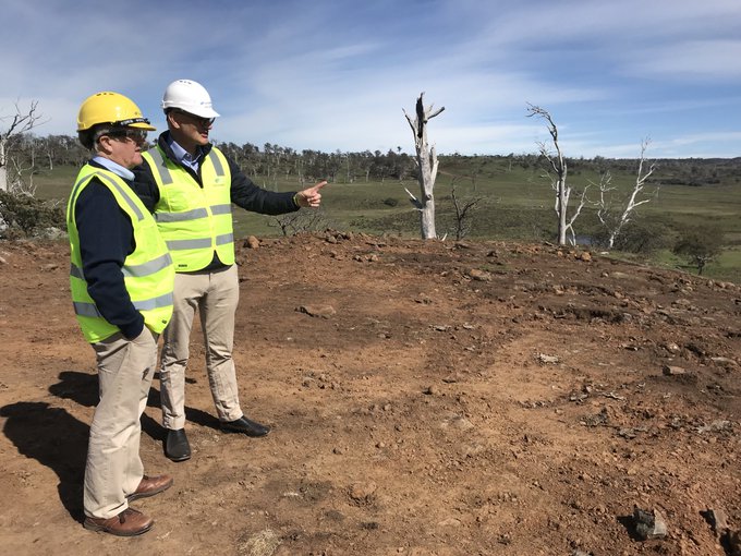 Goldwind announce trials of IdentiFlight technology in a bid to mitigate impacts on the endangered Tasmanian Wedge-tailed Eagle and the Sea Eagle.