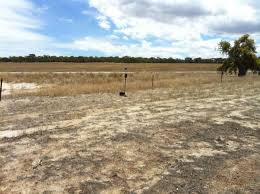 Approximate area available for the farm. Western Power will construct the 10-kilometre transmission line from the wind farm sub-station to the network connection point near Eneabba.