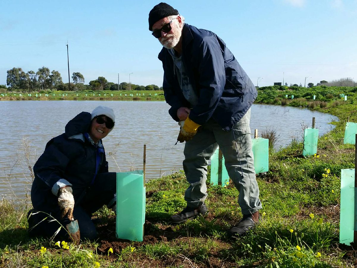 + seedlings planted by 26 fantastic volunteers from City of Onkaparinga, at Dalkeith Wetlands, Seaford Rise.