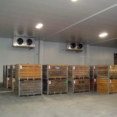 Cold storage facilities in India for storing perishable horticulture produce (number of units, capacity)
