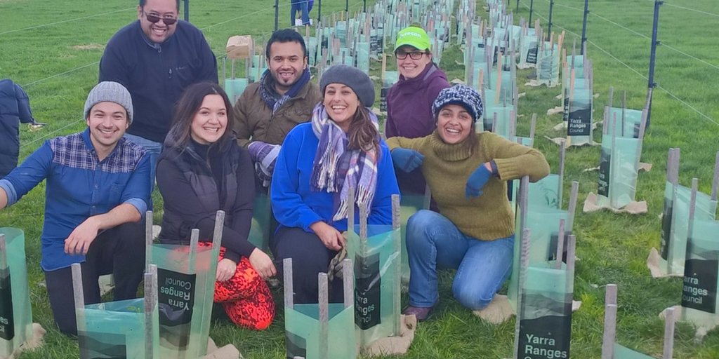 natives planted by staff from Aurecon as they joined other volunteers to create a wildlife corridor within Yarra Ranges. There were 35 volunteers in total, including 7 from Aurecon.