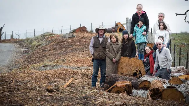 Local residents upset as number of trees are felled to make way to turbine blades to the project site. Residents lodged concerns that tree clearing limits had been breached and CWP voluntarily stopped work on 21 Aug to allow the NSW Department of Planning and Environment [NSWDPE] to investigate.