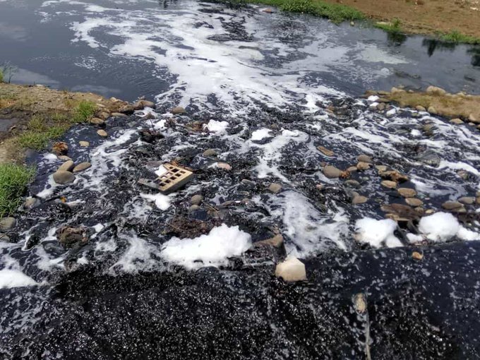 Untreated effluents from Haryana drains polluting Yamuna