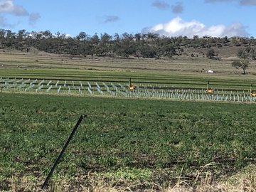 of land will be used for the solar farm.