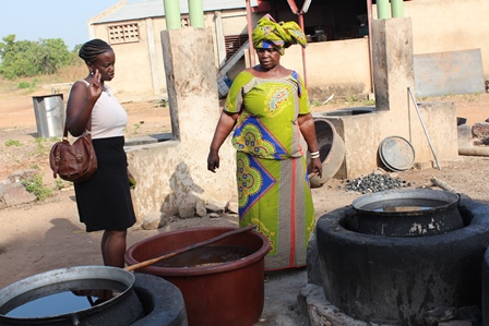 National Programme of Biodigesters of Burkina Faso (PNB-BF)
