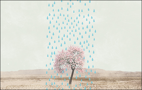 In almond-intensive San Joaquin Valley, the ground has been sinking by an average of 11 inches per year, a 2013 US Geological Survey study found, due to over-pumping of aquifers