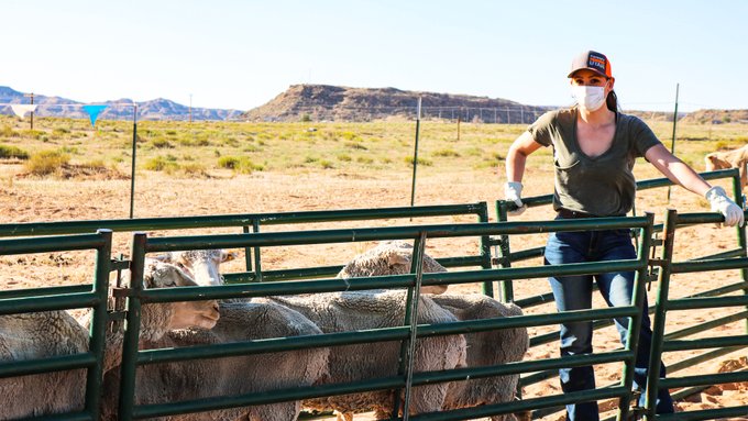 Female producers and female operated farms in the U.S.